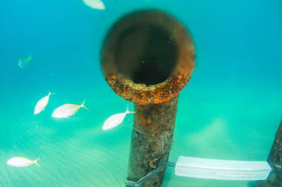 Brine discharge pipe and vent from a desalination plant.